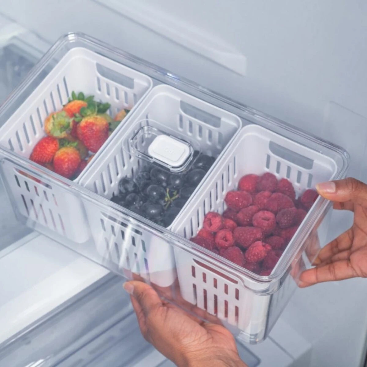 Organizer Refrigerator Fruit Vegetables Triple Basket 5L Clear Fresh White Or